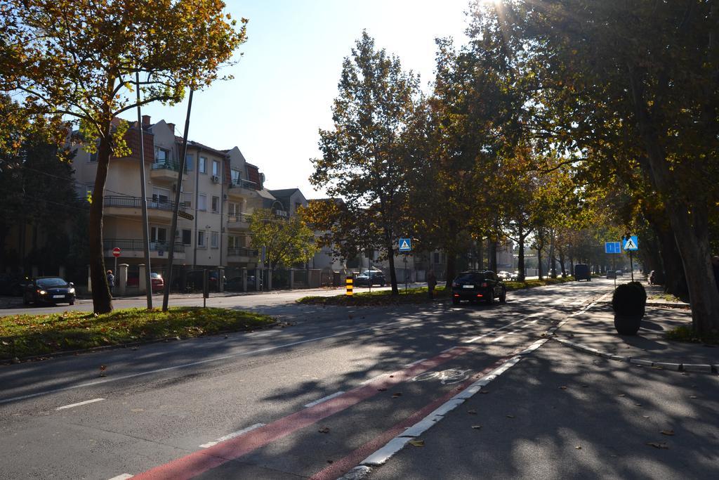 Villa K Apartments Belgrád Szoba fotó